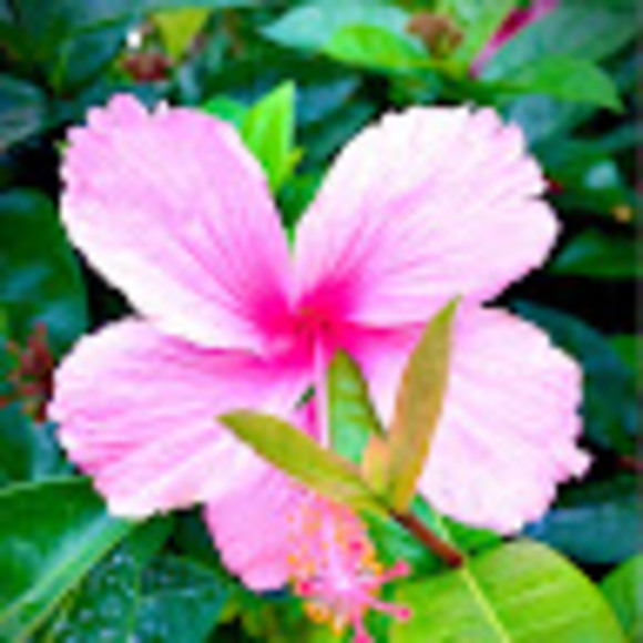 hannahbg10